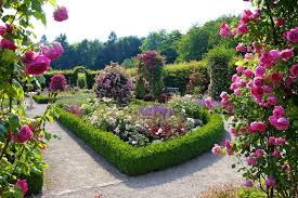 Öröm a szép kert